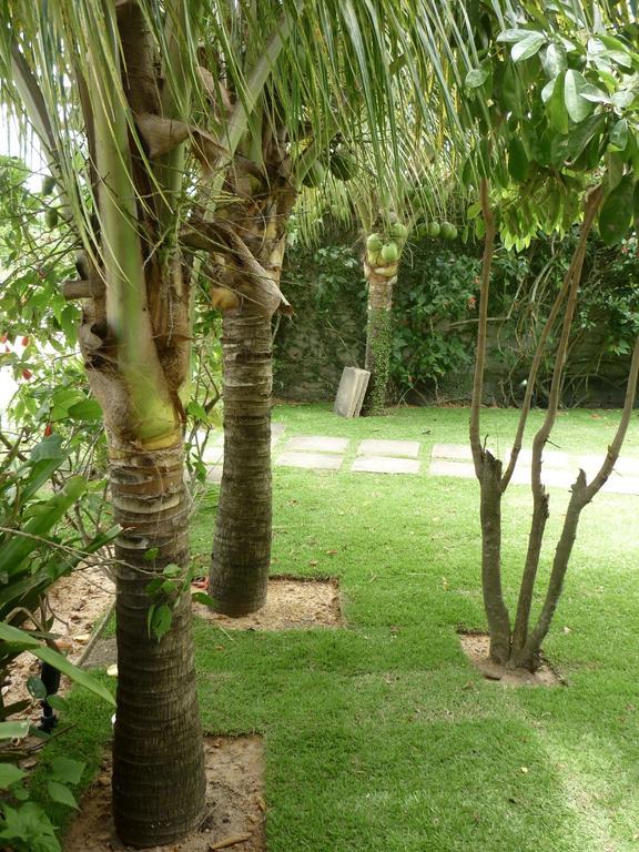 Flat Bang-Lu Hotel Barra Grande Kültér fotó